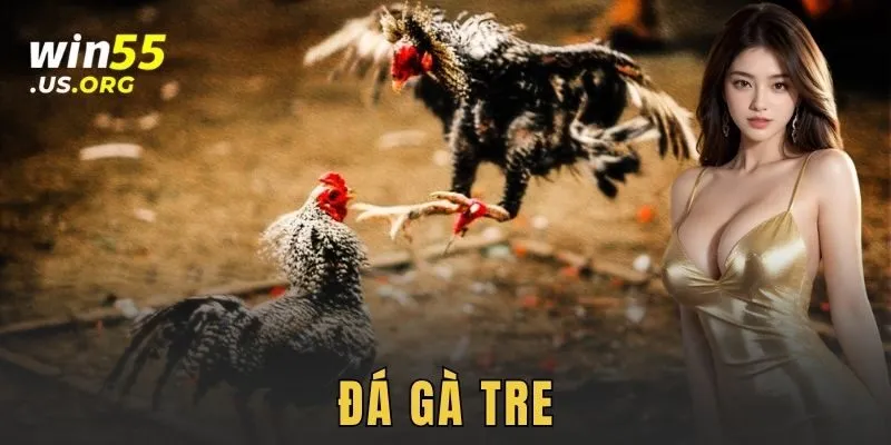 Bí kíp chơi đỉnh cao cho anh em khi đá gà tre