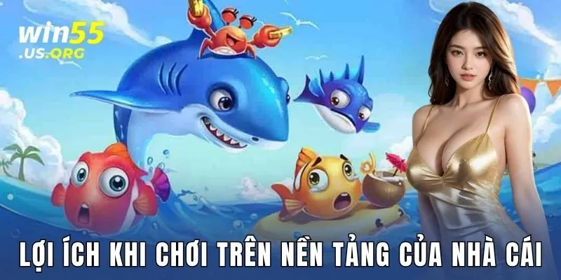Lợi ích khi chơi trên nền tảng của nhà cái