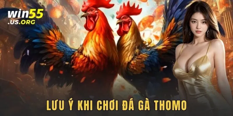 Lưu ý khi chơi đá gà thomo